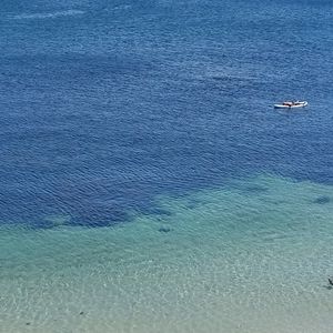 Meet your Posher, Irene